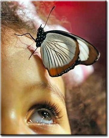 GirlButterfly